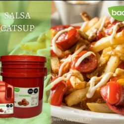SALSA CATSUP BACHI| 20.6 LITROS